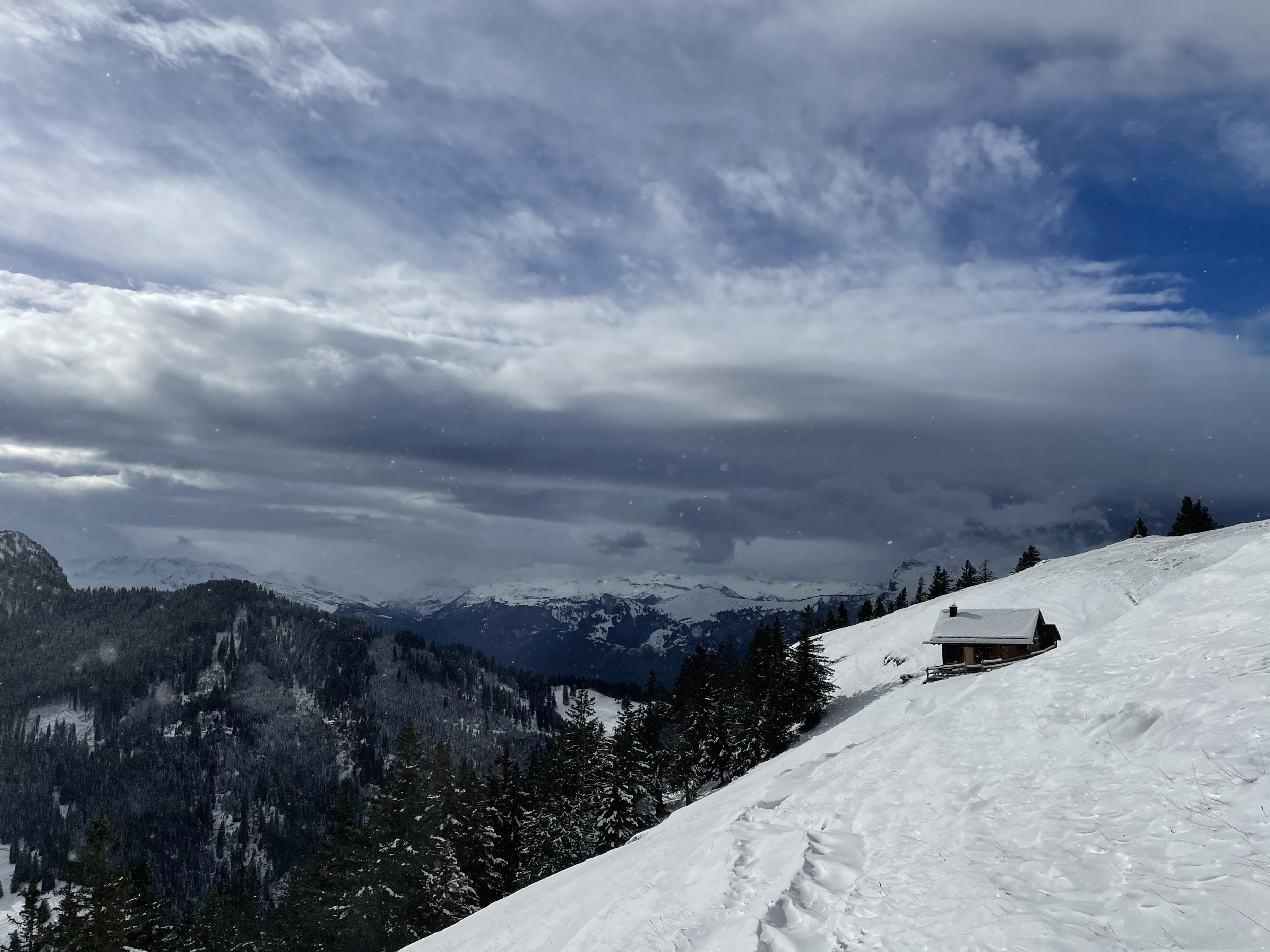Breitgefächerte Erholung